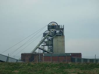 thorsby1