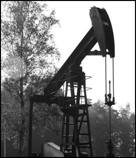 http://images.google.nl/url?source=imgres&ct=tbn&q=http://static.zoom.nl/E3434DFA2BE12A1C85F7DAE0417C9CF7-ja-knikker-nam-schoonebeek.jpg&usg=AFQjCNFvnUV52uoRXmW3SfhHUyQOU0AzvQ